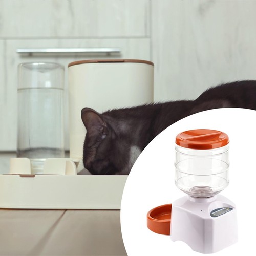 Automatic pet feeder meal - automatic,