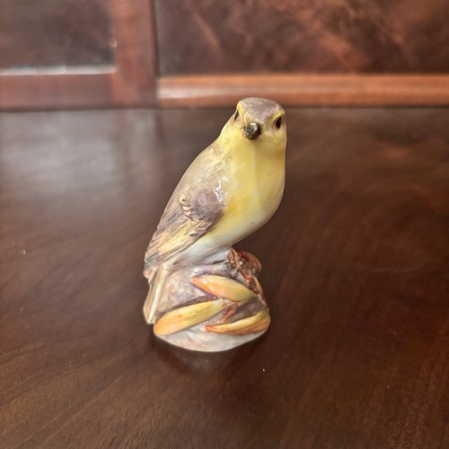 Royal worcester wood - worcester,