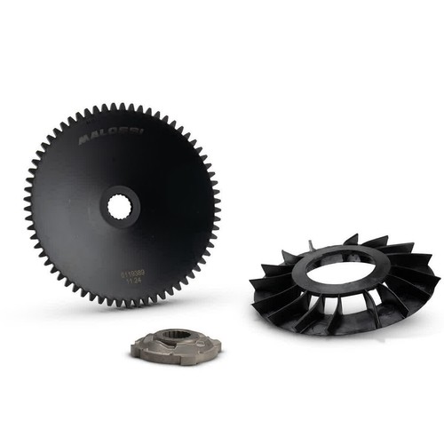 Malossi semi complete kit for - malossi,