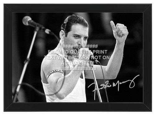 Freddie mercury signed photo - mercury,