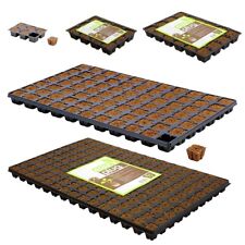 Eazy Plug Trays of 24 & 77