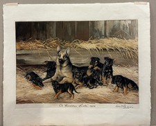 COLOURED ETCHING GERMAN