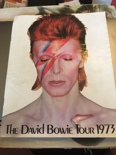 David bowie group concert - david,
