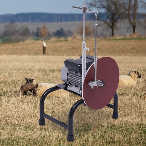 550w electric sheep - sheep, clipper