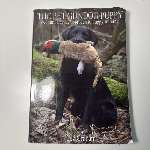 The pet gundog puppy common - gundog,