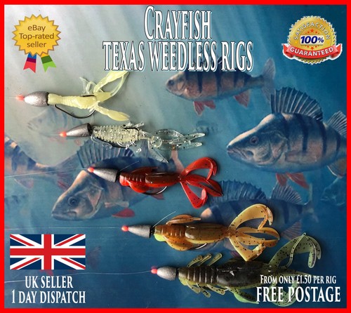 Perch zander rig - perch, pre