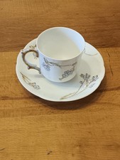 Antique Elite Limoges France Hand Painted Unique cup and saucer