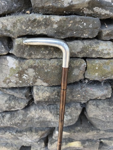 Silver handle walking stick - silver,