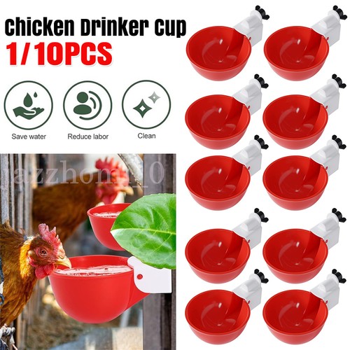Automatic chicken water cup - chicken,