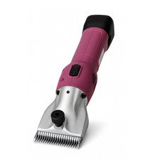 POSH PONY Cordless Horse