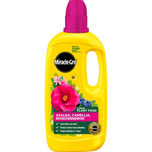 Miracle gro azalea camellia - gro,