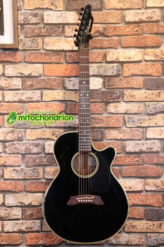 Takamine 106 black - takamine,