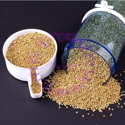 Bird feeder food water feeding - feeder,