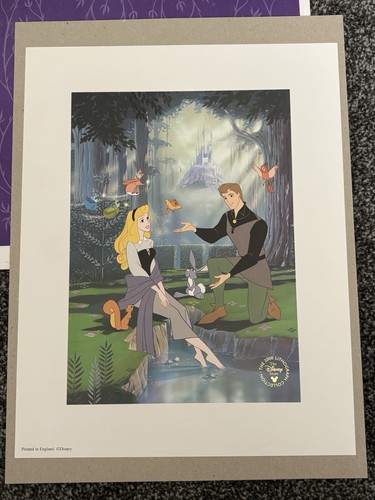 Disney store limited edition - disney,