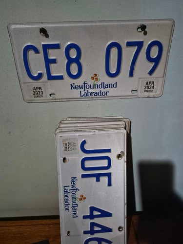 Used nfld license plate - used,