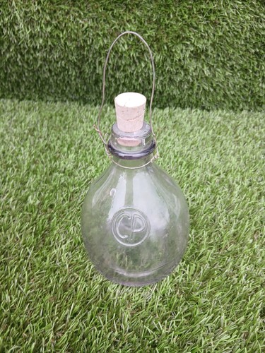 Antique hanging glass wasp - antique,