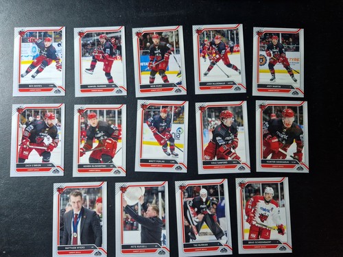 Cardiff devils blindside - devils,