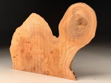 Live Edge Burr Elm Resin