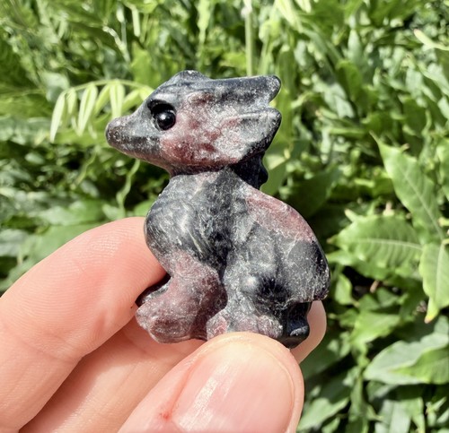 Crystal astrophyllite garnet - crystal,