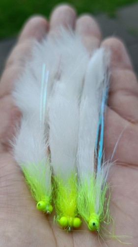 White snake barbless - 3,