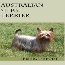 Australian Silky Terrier2