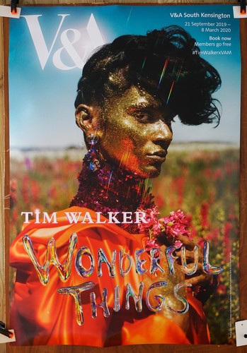 Tim walker original - original, poster