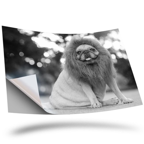 Vinyl sticker bw - 1,