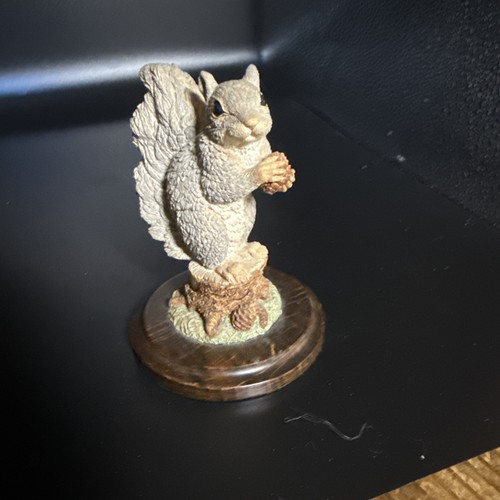 Country artists grey squirrel - grey,