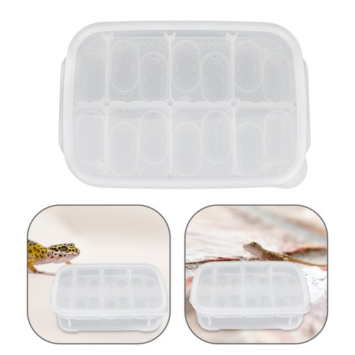 Reptile egg incubator - ,