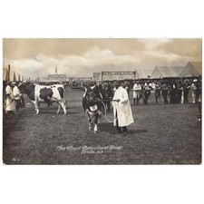 BRISTOL Royal Agricultural Show 1913, RP Postcard #6 by Harvey Barton, Sent 1913