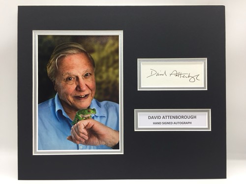 Rare sir david attenborough - rare,