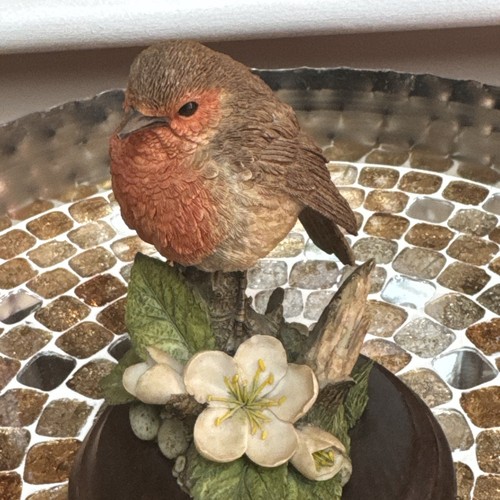 Robin bird shepherds - robin,