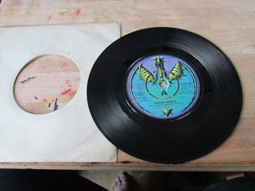 Vintage praying mantis - mantis, 7"