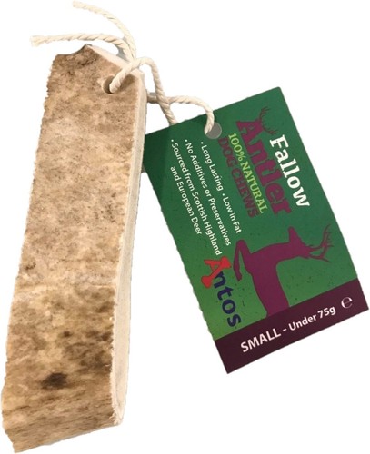 Antos fallow antler - antos,