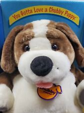 Chubby Puppies Brown white dog