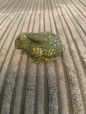 Antique Novelty Stipple Tape