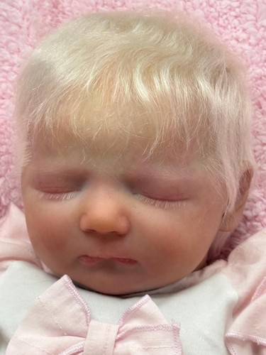 Pbn bargain reborn baby - pbn***,
