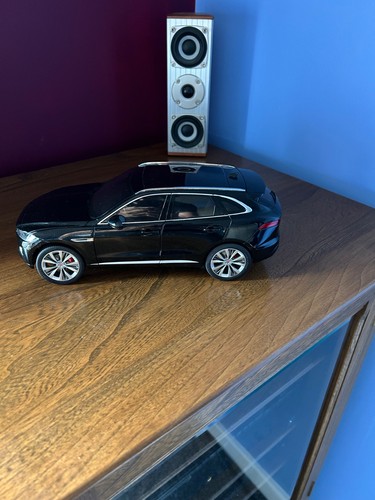 Jaguar pace tsm model - jaguar, f-pace