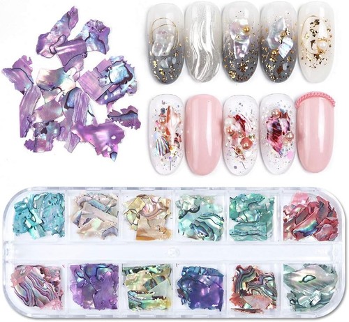 Irregular abalone seashell - irregular,