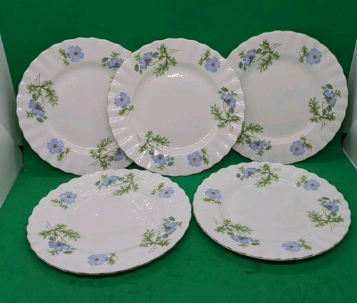 Richmond blue poppy 16cm - ,