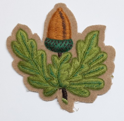 Cheshire regiment dress patch - cheshire,
