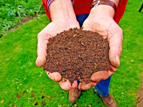 Potting compost indoor - compost,