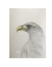 Painting Watercolour Birds Of Prey Eagle Bird  By Kenna 9”X 12” Unframed Art