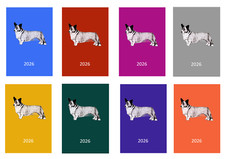 Welsh Corgi (Cardigan) 2026