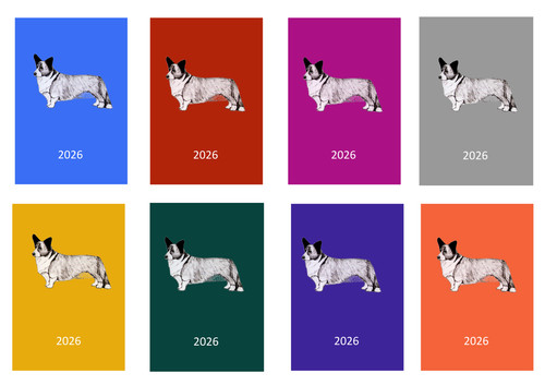 Welsh corgi 2026 - welsh,