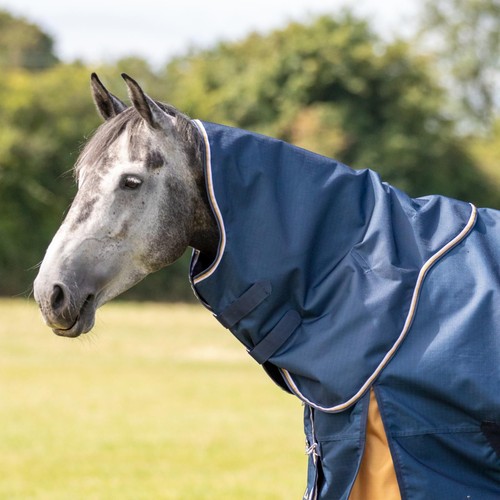 Shires highlander plus - highlander,