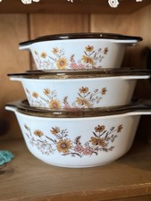 RARE Pyrex country autumn set
