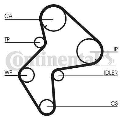 Timing belt for - for, citro�n