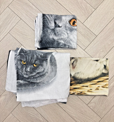 Coloroll photographic cat - coloroll,