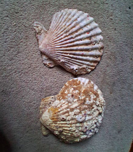 Lot natural unpolished - lot, 2